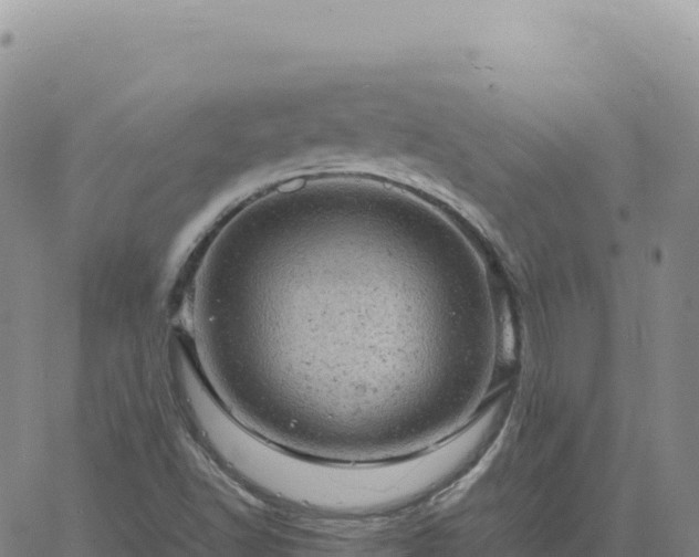 X0000061761502200512091648