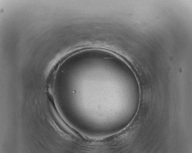 X0000061761503200512091648