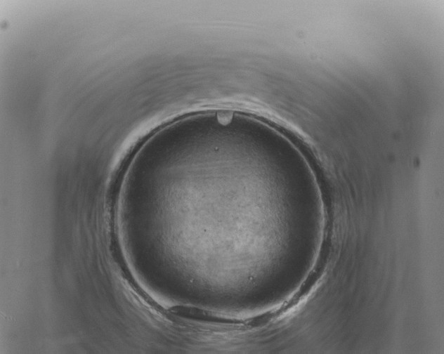 X0000061761506200512091648