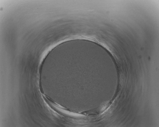 X0000061761508200512091648