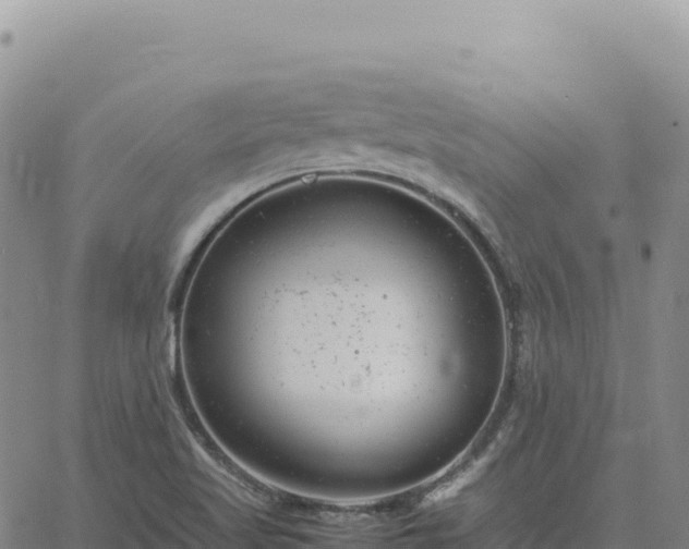 X0000061761509200512091648