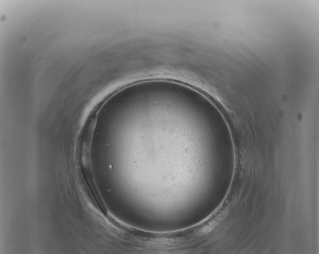 X0000061761510200512091648