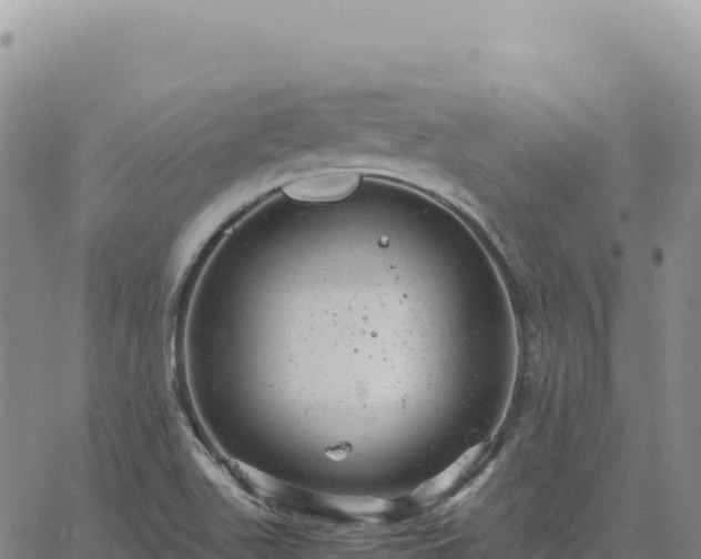 X0000061761511200512091648