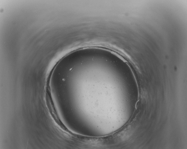 X0000061761512200512091648