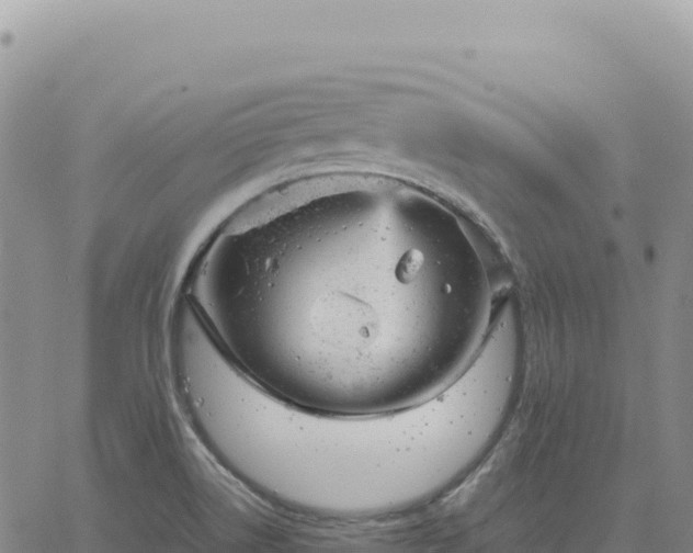 X0000061761514200512091648