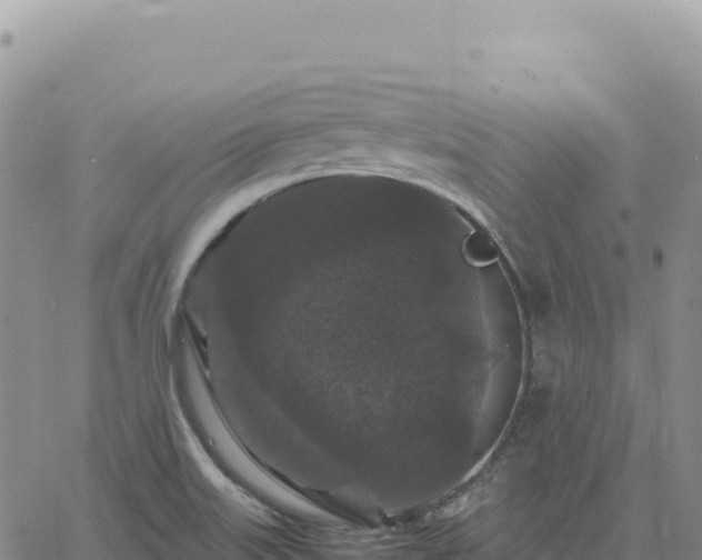 X0000061761515200512091648