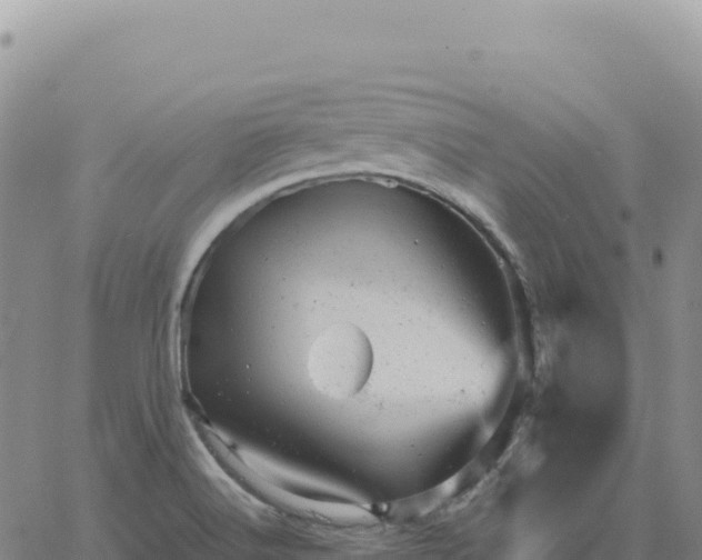 X0000061761516200512091648