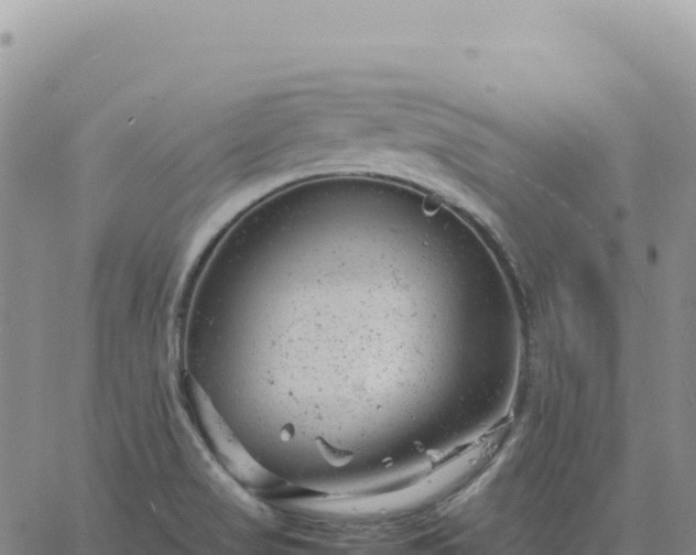 X0000061761517200512091648