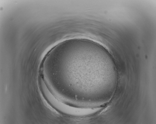 X0000061761518200512091648