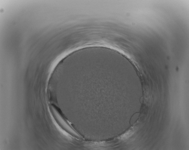 X0000061761519200512091648