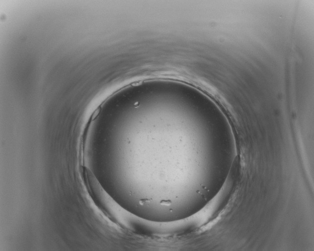 X0000061761520200512091648