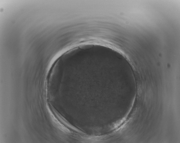 X0000061761522200512091648