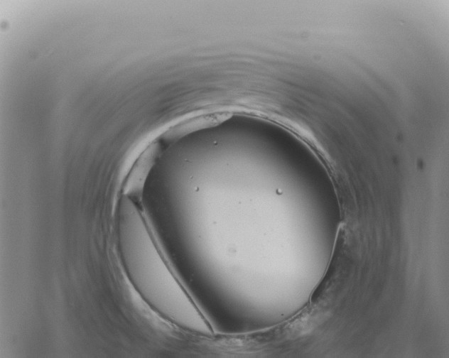 X0000061761524200512091648