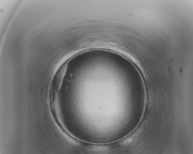 X0000061761525200512091648