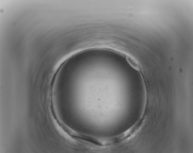 X0000061761526200512091648