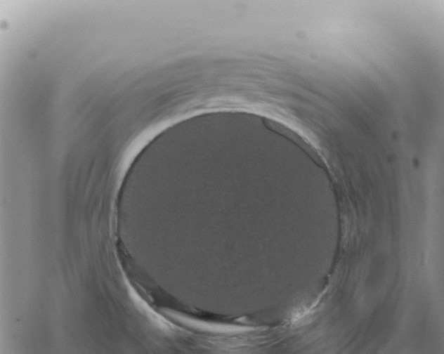 X0000061761527200512091648