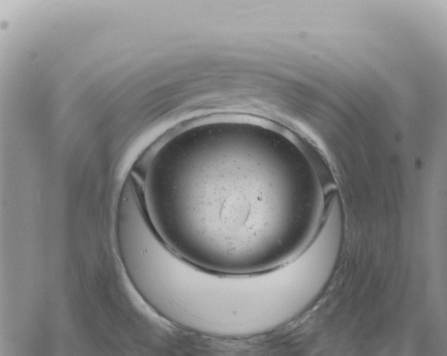 X0000061761528200512091648