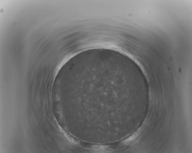 X0000061761529200512091648