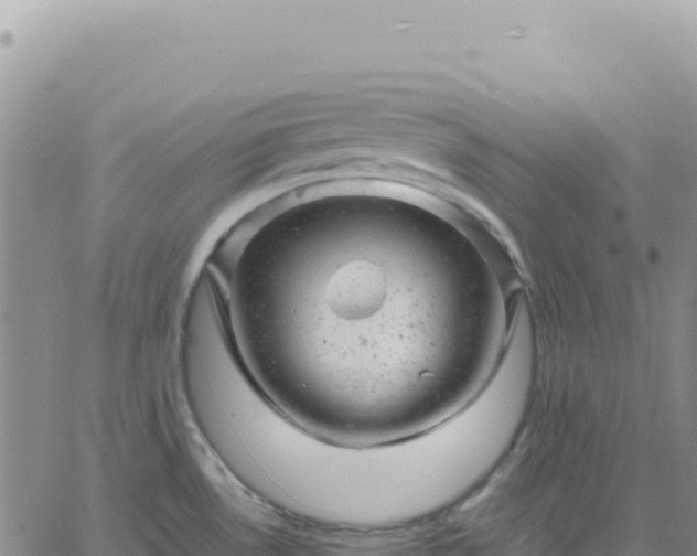 X0000061761530200512091648