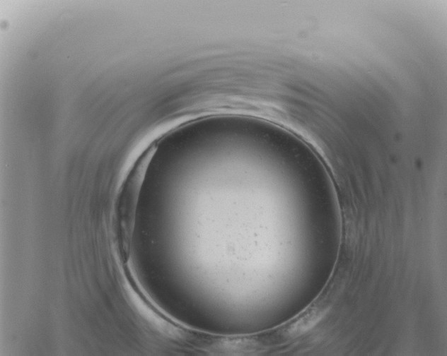 X0000061761531200512091648