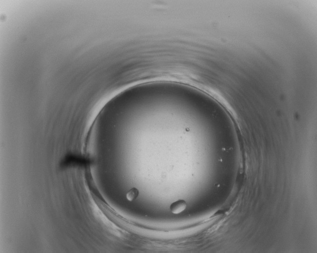 X0000061761532200512091648