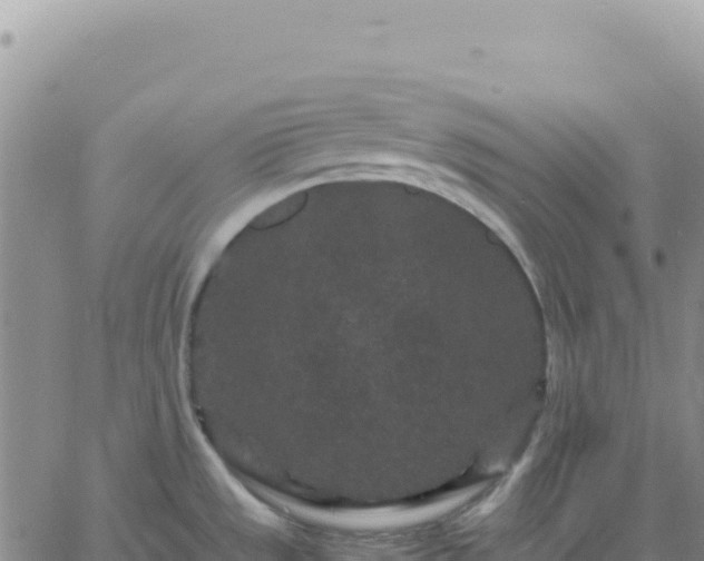 X0000061761533200512091648