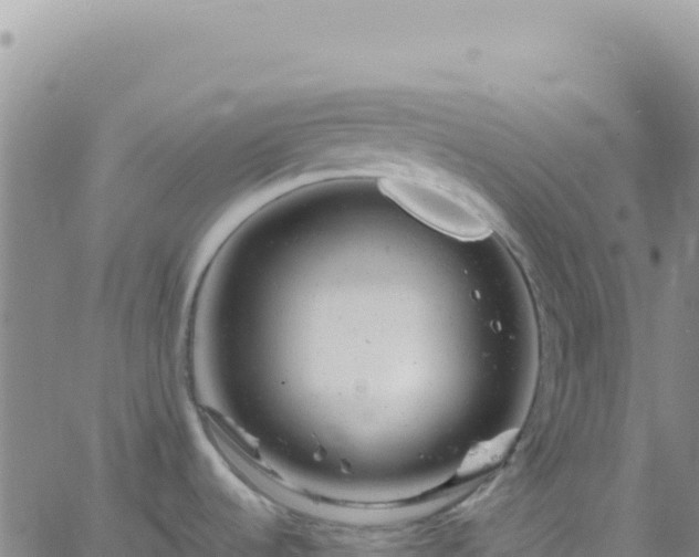 X0000061761536200512091648