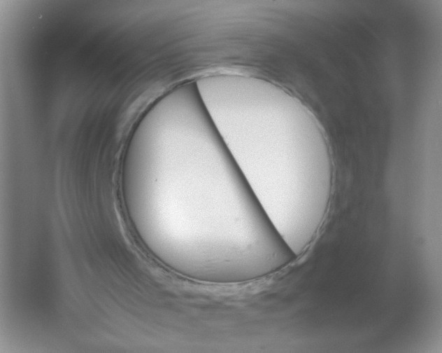 X0000061760001200512161756