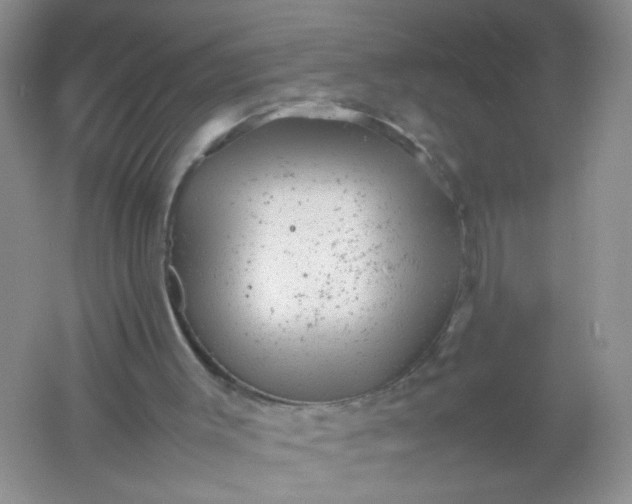 X0000061760003200512161756