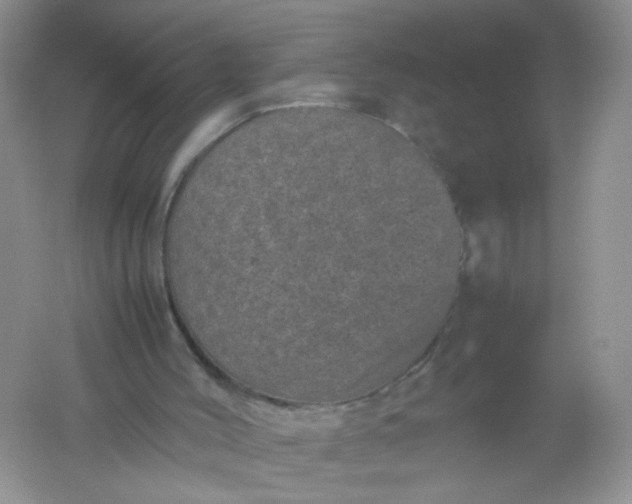 X0000061760004200512161756