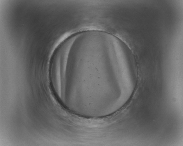 X0000061760008200512161756