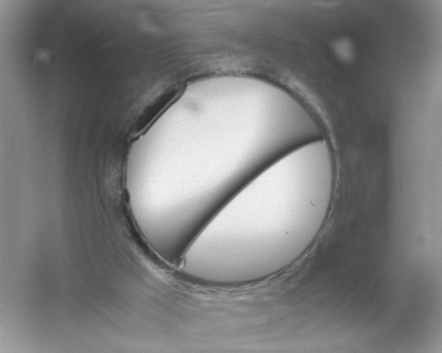 X0000061760009200512161756