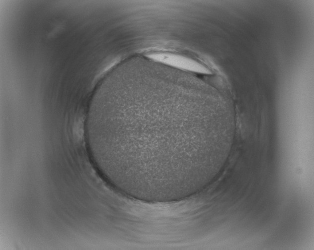 X0000061760010200512161756