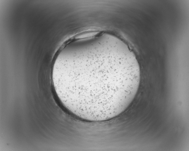 X0000061760011200512161756