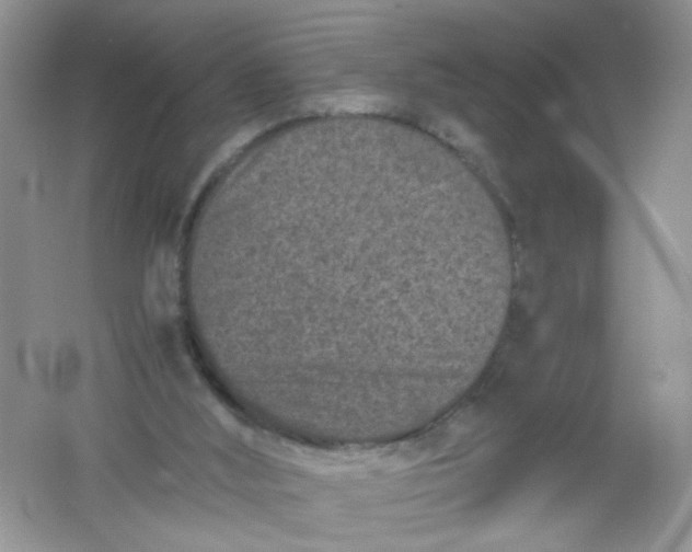 X0000061760012200512161756