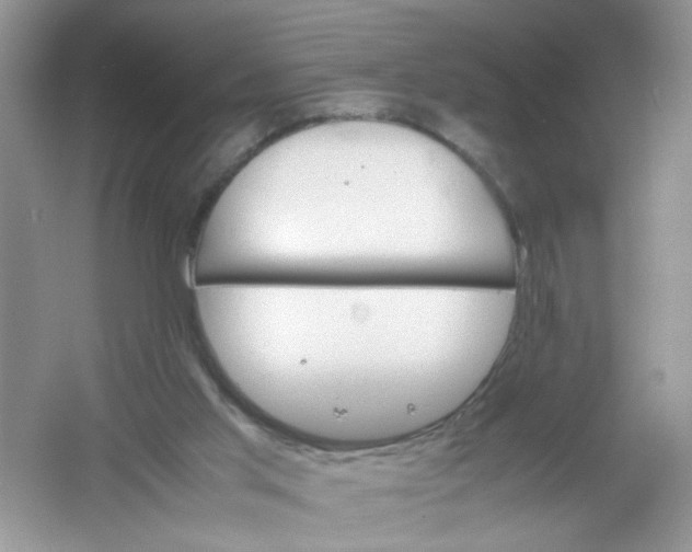 X0000061760013200512161756