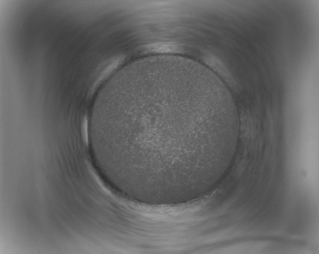 X0000061760014200512161756