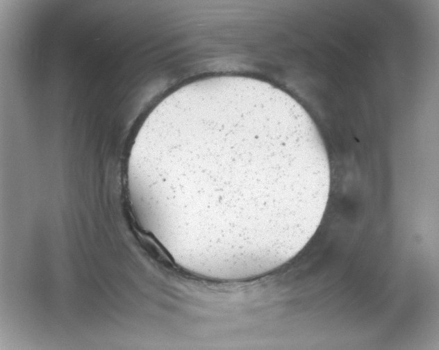 X0000061760015200512161755