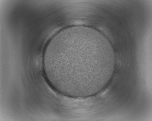 X0000061760016200512161755