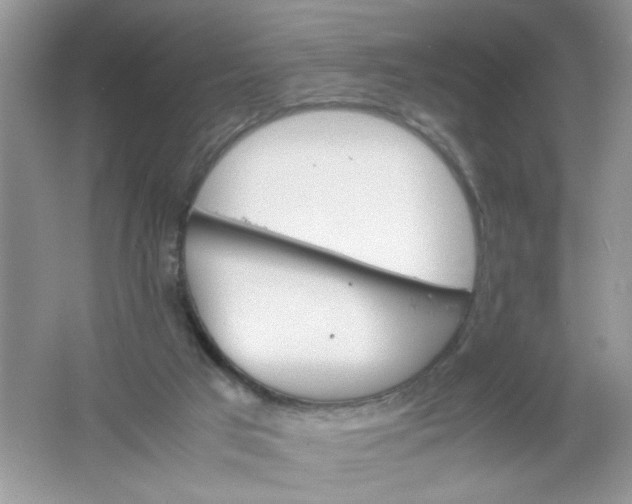 X0000061760017200512161755