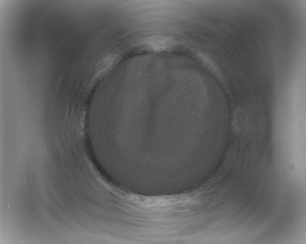 X0000061760018200512161755