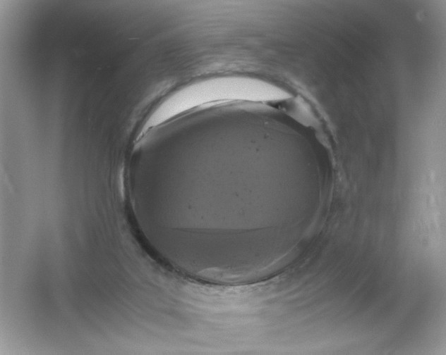 X0000061760019200512161755