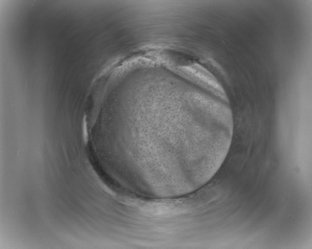 X0000061760020200512161755