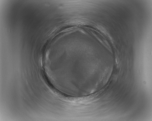 X0000061760021200512161755