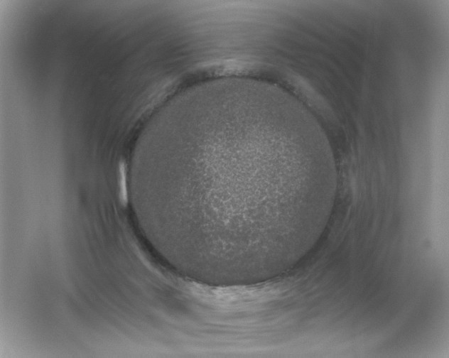 X0000061760022200512161755