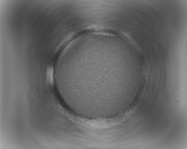 X0000061760024200512161755