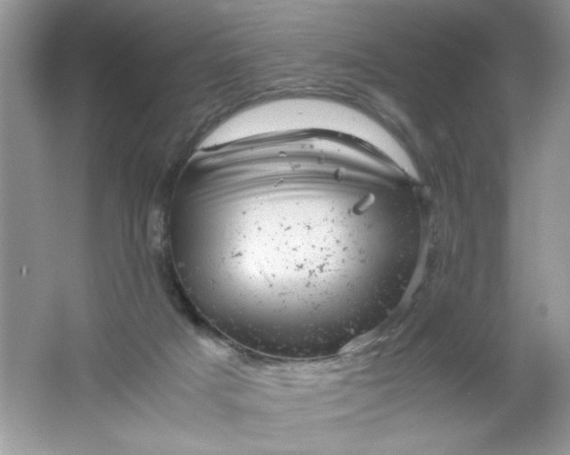 X0000061760025200512161755