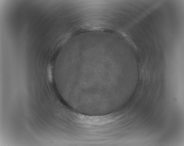 X0000061760026200512161755