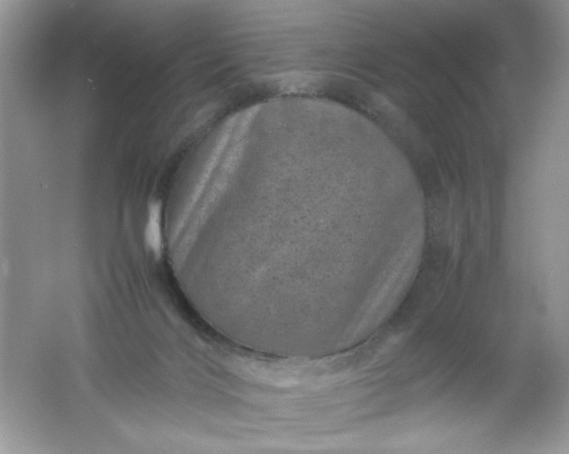 X0000061760028200512161755