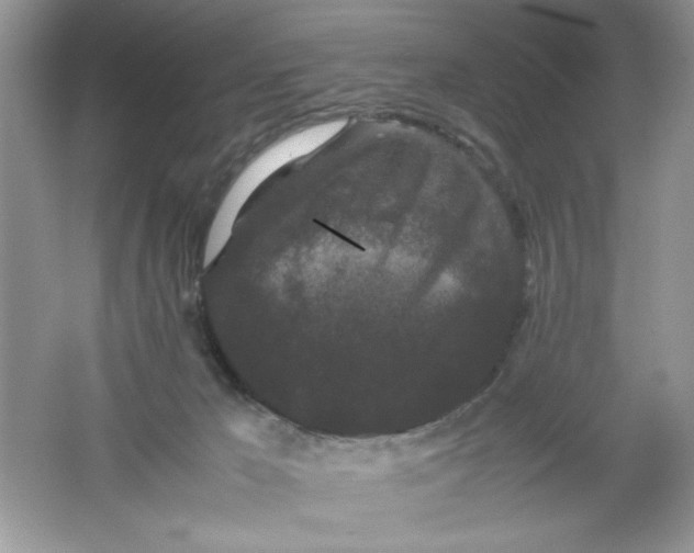 X0000061760029200512161755